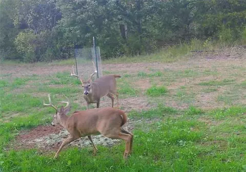 11615 32 Hwy, Stockton, MO 65785 photo 64