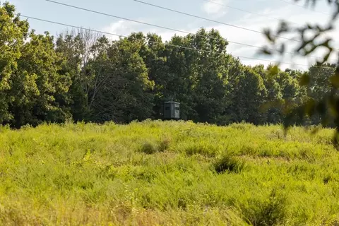11615 32 Hwy, Stockton, MO 65785 photo 27
