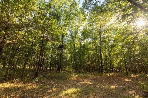 11615 32 Hwy, Stockton, MO 65785 photo 58