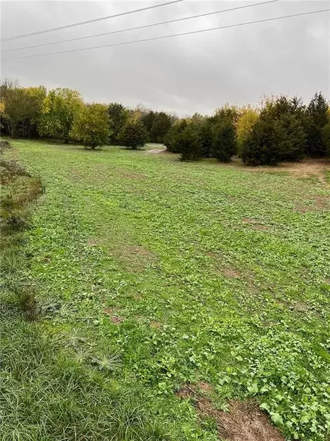 11615 32 Hwy, Stockton, MO 65785 photo 74