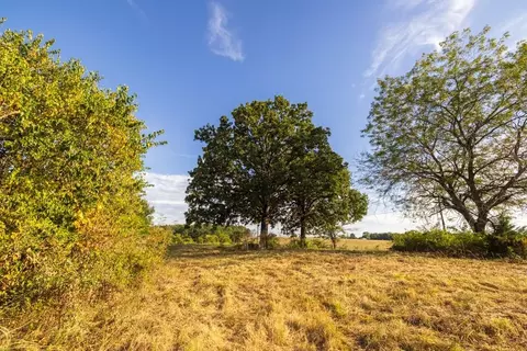 11615 32 Hwy, Stockton, MO 65785 photo 63