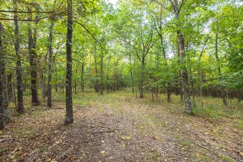 11615 32 Hwy, Stockton, MO 65785 photo 52