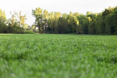 tbd State Rte E, Harris, MO 64645 photo 36
