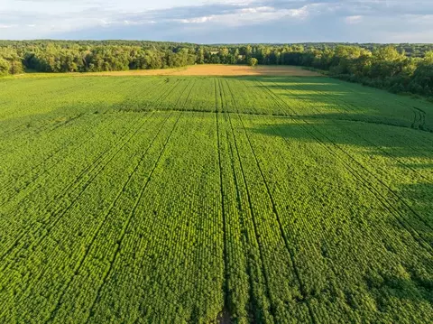 tbd State Rte E, Harris, MO 64645 photo 8