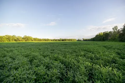 tbd State Rte E, Harris, MO 64645 photo 37