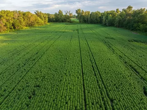 tbd State Rte E, Harris, MO 64645 photo 24