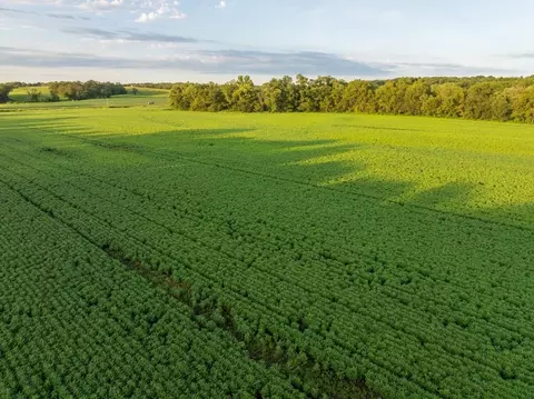 tbd State Rte E, Harris, MO 64645 photo 25