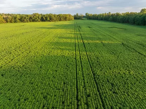 tbd State Rte E, Harris, MO 64645 photo 23