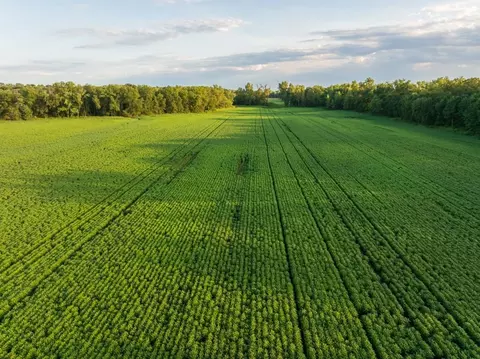 tbd State Rte E, Harris, MO 64645 photo 5