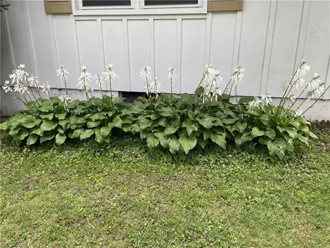 Exterior - 205 E Maple St, Raymore, MO 64083 photo 8 of 8