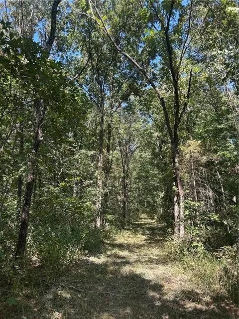 471 SE 1131 Rd, Clinton, MO 64735 photo 44