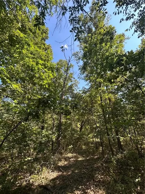 471 SE 1131 Rd, Clinton, MO 64735 photo 38