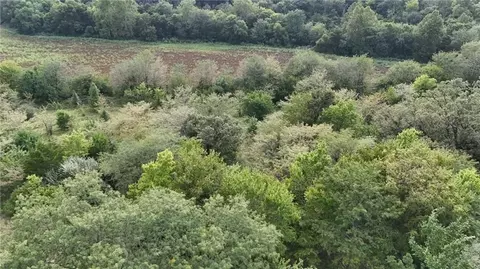 State Route E, Savannah, MO 64485 photo 6