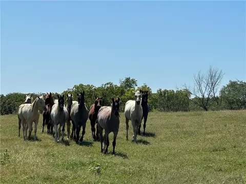 4 State Route D, Savannah, MO 64485 photo 5