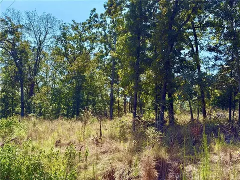 Off Saint Saveur Drive, Edwards, MO 65326 photo 4