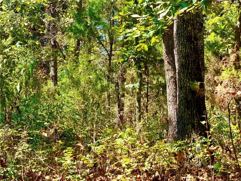 Off Saint Saveur Drive, Edwards, MO 65326 photo 2