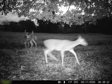 E 330th Street, Bethany, MO 64424 photo 70