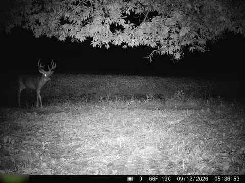 E 330th Street, Bethany, MO 64424 photo 63