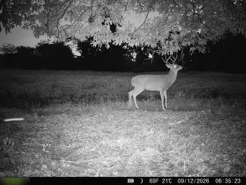 E 330th Street, Bethany, MO 64424 photo 78