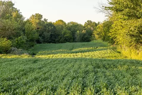 0000 Bison St, Mercer, MO 64661 photo 22