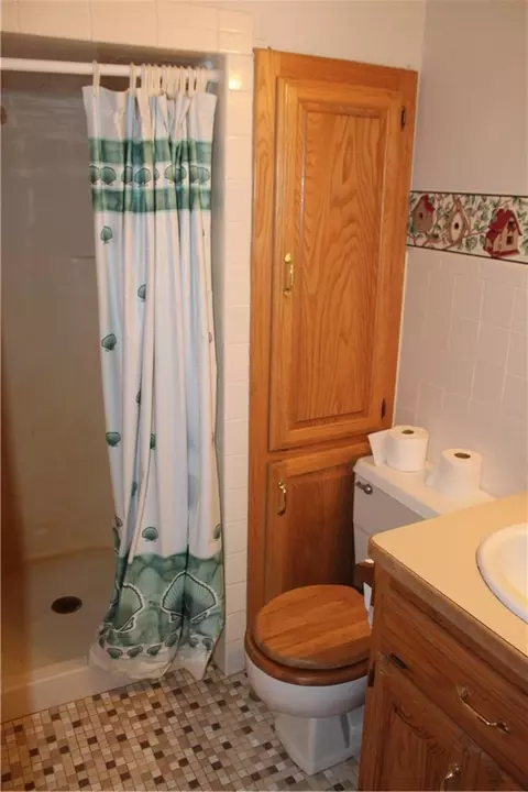 Bath - 11 Spruce St, Greenfield, MO 65661 photo 3 of 5