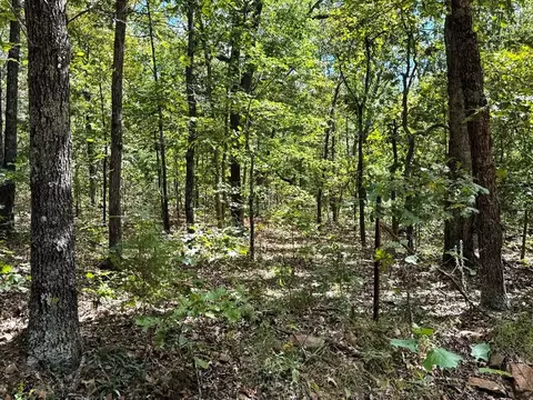 000 1200 Rd, Collins, MO 64738 photo 11
