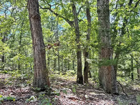 000 1200 Rd, Collins, MO 64738 photo 6