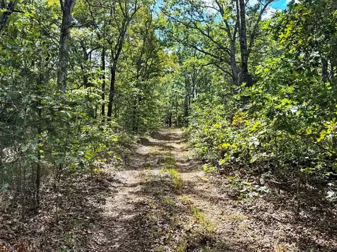 000 1200 Rd, Collins, MO 64738 photo 22