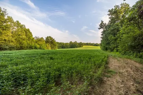 000 Ewing Dr, Pilot Grove, MO 65276 photo 37