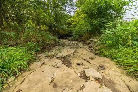 000 Ewing Dr, Pilot Grove, MO 65276 photo 46