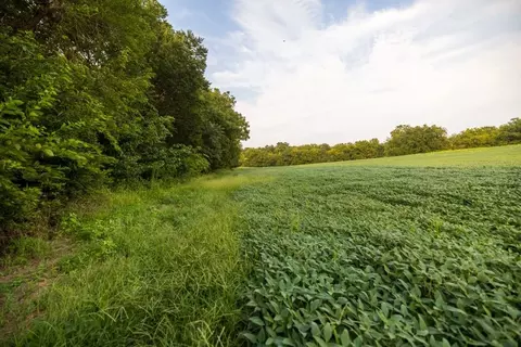 000 Ewing Dr, Pilot Grove, MO 65276 photo 33