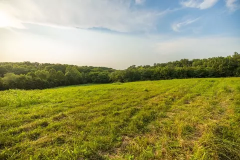 000 Ewing Dr, Pilot Grove, MO 65276 photo 38