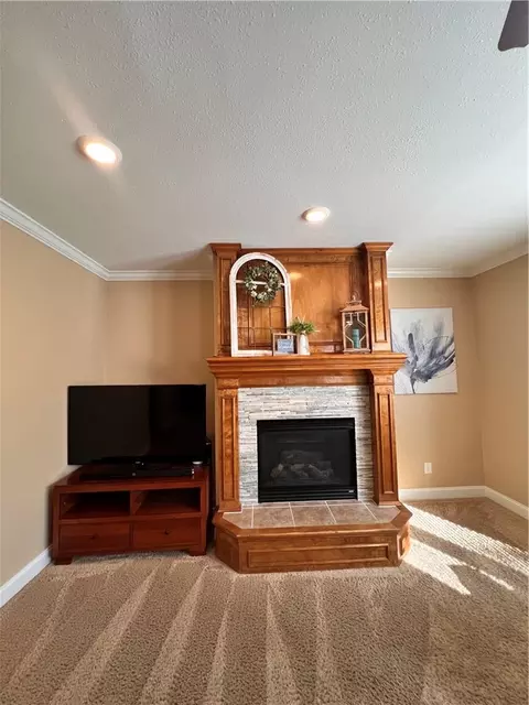 Living - 541 E Mockingbird St, Gardner, KS 66030 photo 4 of 4