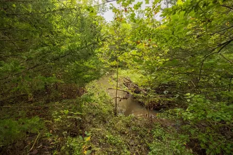 View/Area - 4281 Old Havana Trl, Mcfall, MO 64657 photo 14 of 14