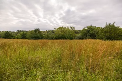 Other - 4281 Old Havana Trl, Mcfall, MO 64657 photo 3 of 35