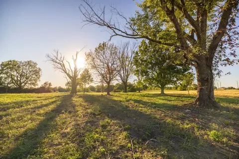 29623 S Vanmeter Rd, Freeman, MO 64746 photo 25