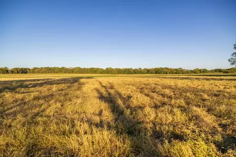 29623 S Vanmeter Rd, Freeman, MO 64746 photo 26