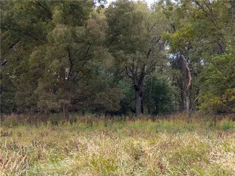 Wind Rd Road, Brunswick, MO 65236 photo 39