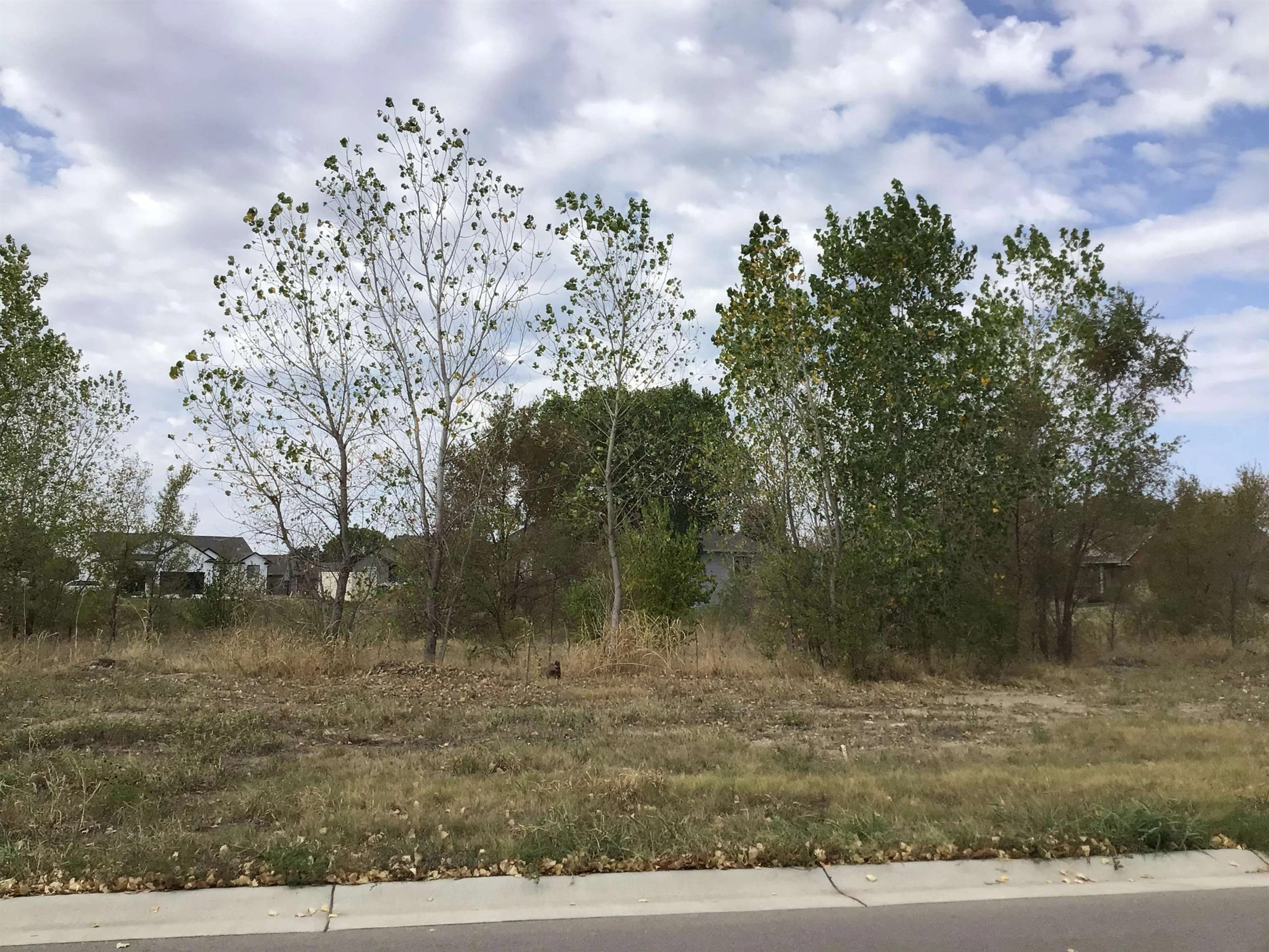 Lot 62