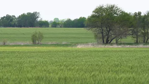 lot Lot 1 Block 3 Dry Creek Ests #16610 W SHADE ST, Goddard, KS 67052