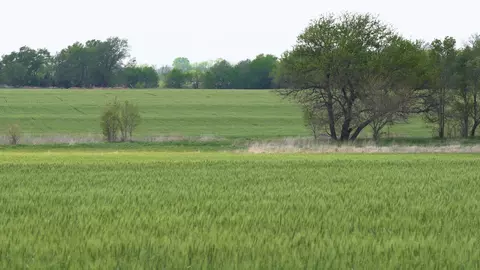 16312 W Shade Ct #LOT 22 BLOCK 3 DRY CREEK ESTATES, Goddard, KS 67052