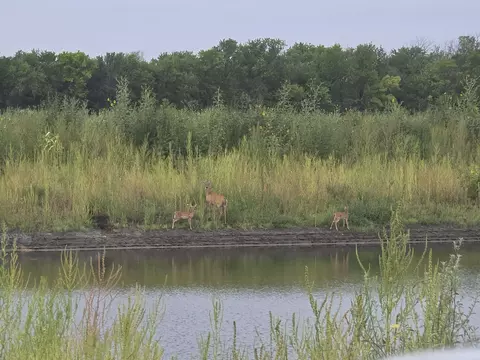 0000 E 95th #LOT 8, Derby, KS 67037 photo 2