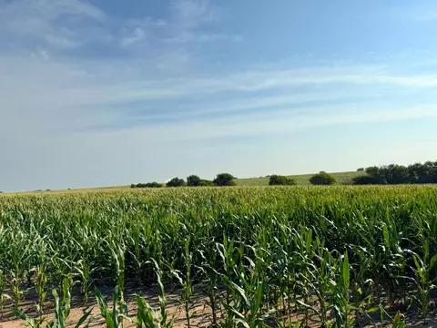 00000 Windmill Rd, Ada, KS 67467