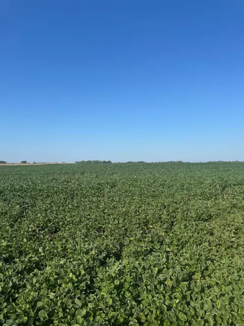 0 N 210th Rd, Bennington, KS 67422