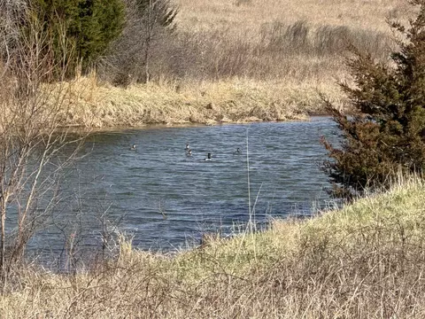 View/Area - 169 Z50 Rd, Fall River, KS 67047 photo 8 of 16