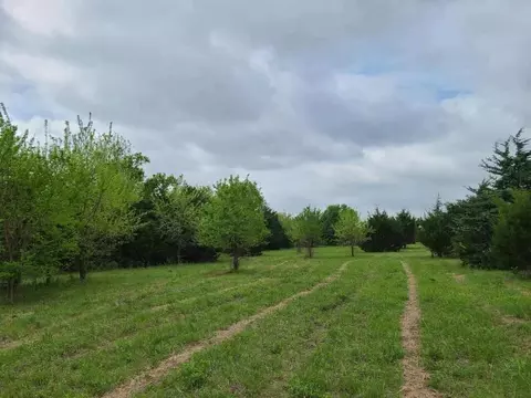 Other - 151 St, Winfield, KS 67156 photo 6 of 19