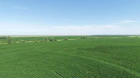 00000 Dove Rd, Solomon, KS 67480 photo 8