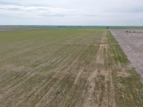00000 Buffalo Rd, Solomon, KS 67480 photo 5