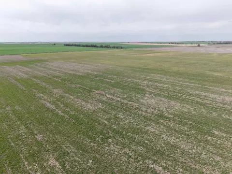 00000 Buffalo Rd, Solomon, KS 67480