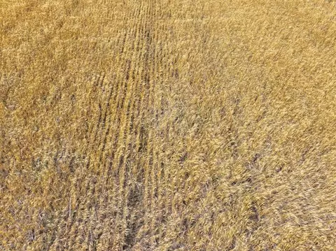 Other - 000 E Dutch Ave #TRACT 2 OF 2, Walton, KS 67151 photo 12 of 15